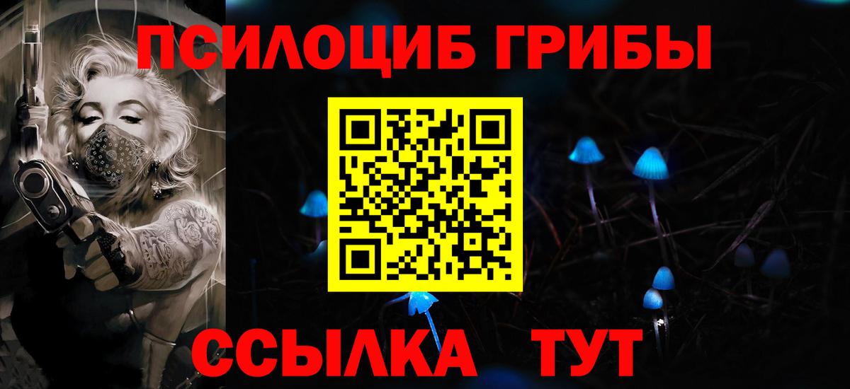 Галлюциногенные грибы Psilocybine cubensis Россия