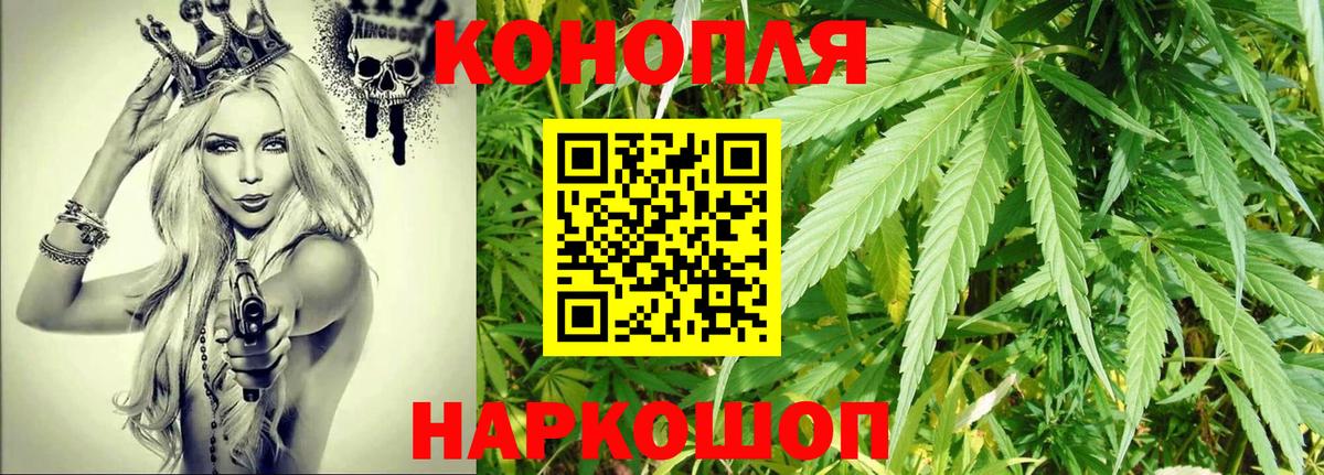 Бошки марихуана THC 21% Россия